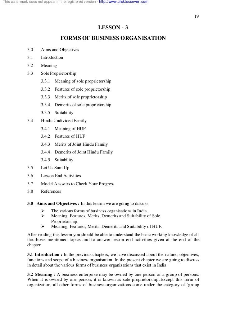 forms of business organisation essay
